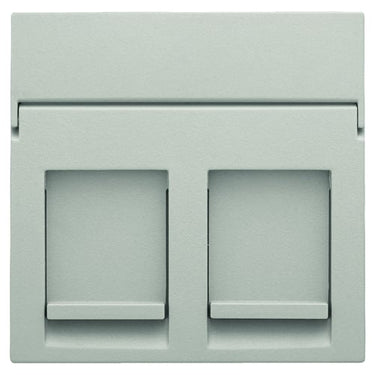 Afdækning til dataudtag 2xRJ45 light grey - 1