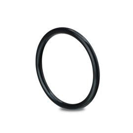 DIN O-ring viton (FPM/FKM) DN25 - 1