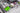 Shelly DALI Dimmer Gen3 - WiFi DALI styring - 3