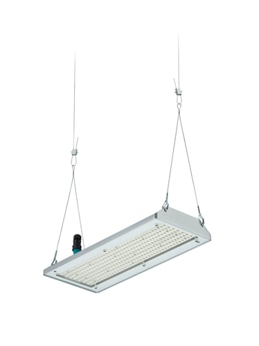 Philips GentleSpace Highbay BY580P 13000lm/840 Mediumstrålende (MB) Grå DALI IP65 - 1
