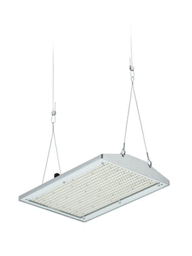 Philips GentleSpace Highbay BY581P 25000lm/840 High Efficiency Højlager optik (HRO) Grå DALI IP65 - 1