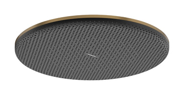 hansgrohe Raindance Alive S hovedbruser 300 1jet børstet bronze PVD - 1