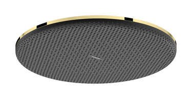 hansgrohe Raindance Alive S hovedbruser 300 1jet EcoSmart poleret guld-optik PVD - 1