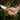 Milwaukee Kniv fast blad - 2
