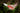 Milwaukee Kniv fast blad - 2