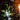 Ledlenser EXC7R lygte vinklet genopladelig Atex zone 0/21 400lm - 4