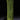 Lygte Peli™ 3315 LED ATEX ZONE 0 gul - 5