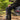 Deerhunter Rogaland stretchbukser adventure green kontrast str 30 - 2