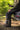 Deerhunter Rogaland stretchbukser adventure green kontrast str 56 - 2