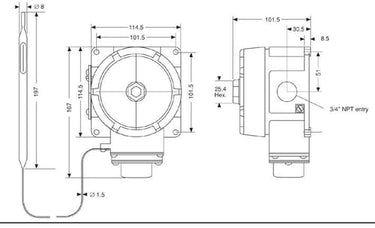 Raystat EX-02 mekanisk termostat - 1