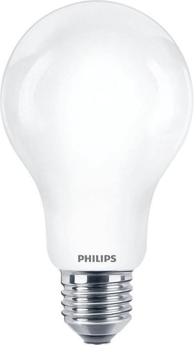 Philips CorePro LED Standard 13W (120W) E27 A67 865 Mat Glas - 1