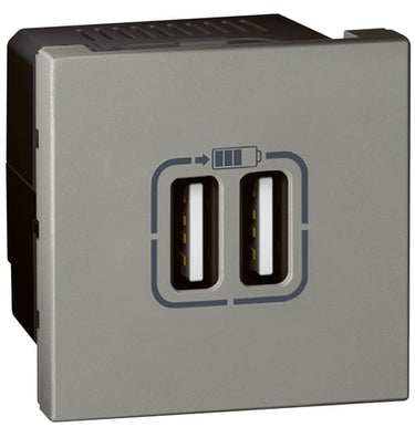 Arteor dobbelt usb 2400ma 2 moduler magnesium - 1