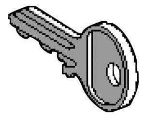 Nøgle ronis 455 Q99900901 - 1