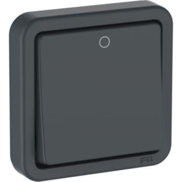 OPUS® 74 afbryder 2-polet 440 V IP44 antracitgrå - 1