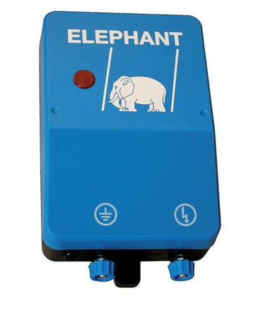 Elhegn M1 elephant - 1