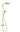 hansgrohe Raindance Select S 240 1jet PowderRain showerpipe  med term poleret guld-optik - 1