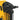 DeWalt Ikke-magnetisk spids DCN890 betonpistol - 1