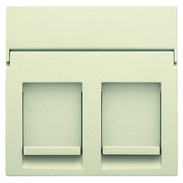Afdækning til dataudtag 2 x RJ45 cream - 1