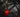 Coast Slayer Pro Laser Genopladelig lommelygte - 4
