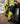 Green stretchbukser kl.2 2645 Hi-Vis gul/marine str D100 - 5