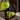 Green stretchbukser kl.2 2645 Hi-Vis gul/marine str C58 - 7