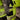 Green stretch overalls kl.2 Hi-Vis gul/marine str C50 - 5
