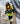 Green håndværker stretchbukser dame Hi-Vis gul/marine str 44 - 6