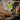 Green håndværker stretchbukser dame Hi-Vis gul/sort str 50 - 3