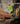 Green håndværker stretchbukser dame Hi-Vis gul/sort str 50 - 3