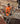 Green stretchjakke kl.3 4647 Hi-Vis orange/marine str 4XL - 4