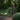TREE T 800 Pullert 710lm/830 10W  IK08 IP66 360° Corten - 2