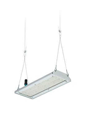 Philips GentleSpace Highbay BY580P 17000lm/840 High Efficiency Bredstrålende (WB) Polykarbonat Optik Grå DALI IP65 - 1