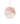 Signify myCreation Kappe Pendel E27 Satin Rosa 300cm kabel (Hvid) - 1