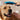 hansgrohe DogShower hundebruser 150 3jet med massagedyser petrol - 5
