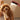 hansgrohe DogShower hundebruser 150 3jet med massagedyser pink - 5