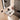 hansgrohe Xanuia Q håndvask 45x34cm m/hh m/overløb hvid - 5