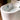 hansgrohe LavaPura Element S væghængt douchetoilet kompletsæt AquaHelix Flush, SmartClean, HygieneEffect - 27