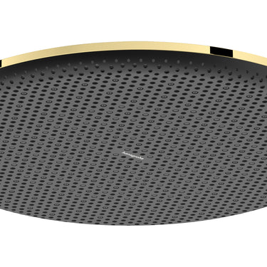 hansgrohe Raindance Alive S hovedbruser 300 1jet EcoSmart poleret guld-optik PVD - 1