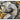 Akryl spejl Everest 60x80cm - 1