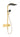 hansgrohe Raindance Alive Q Showerpipe 210/340 1jet EcoSmart m/ShowerSelect Comfort poleret guld-optik PVD - 1