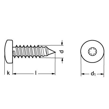 4,8X19 DIN 7981 FZB panhoved pladeskrue Torx - 1