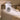 hansgrohe iFrame Original S betjeningsplade kunststof 230x150mm t/indb.cist forkr - 15