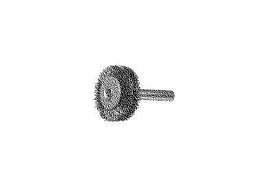 Roterbørste DIY/ECO 4500 100X10MM 6MM skaft 0,20 RF - 1