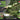 Soudal T-Rex montagelim lette materialer 380g - 2