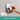 hansgrohe ShowerSelect Comfort E termostatarmatur til indbygning med afspærring til 2 udtag krom - 11