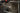 Milwaukee Hammerbor SDS-plus MX4 8x465mm - 2