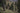HH Workwear Lifa Merino uld underbuks med lange ben 75506 camo M - 2