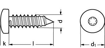 5,5X16 ISO 14585/DIN 7981 A4 panhoved pladeskrue torx - 1