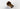 Målerforskruning med kontrollerbar kontraventil 2286 rødgods 1 1/2" x 2" x 82,5 mm - 1
