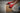 Milwaukee montage handske Nitril str 10 - 2